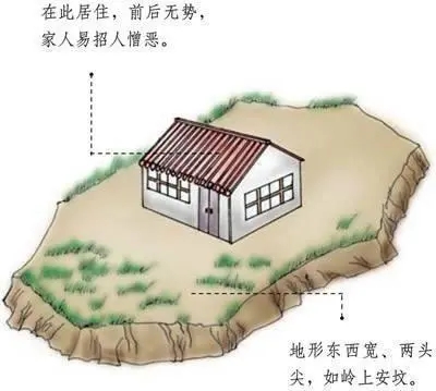u=2473189490,1958770872&fm=253&fmt=auto&app=138&f=JPEG.webp.jpg
